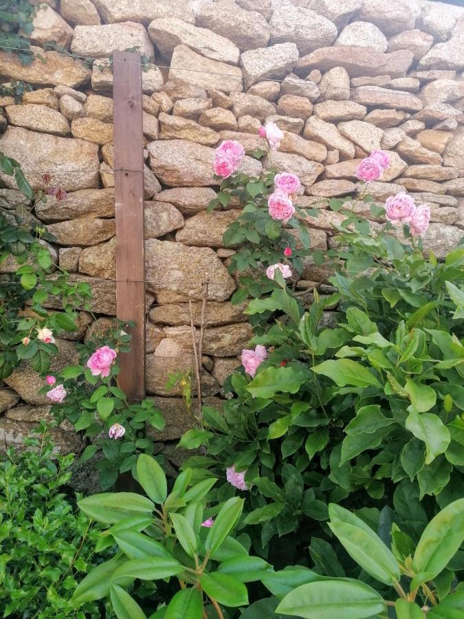 Rosas Da Granja - Casa De Campo Dış mekan fotoğraf