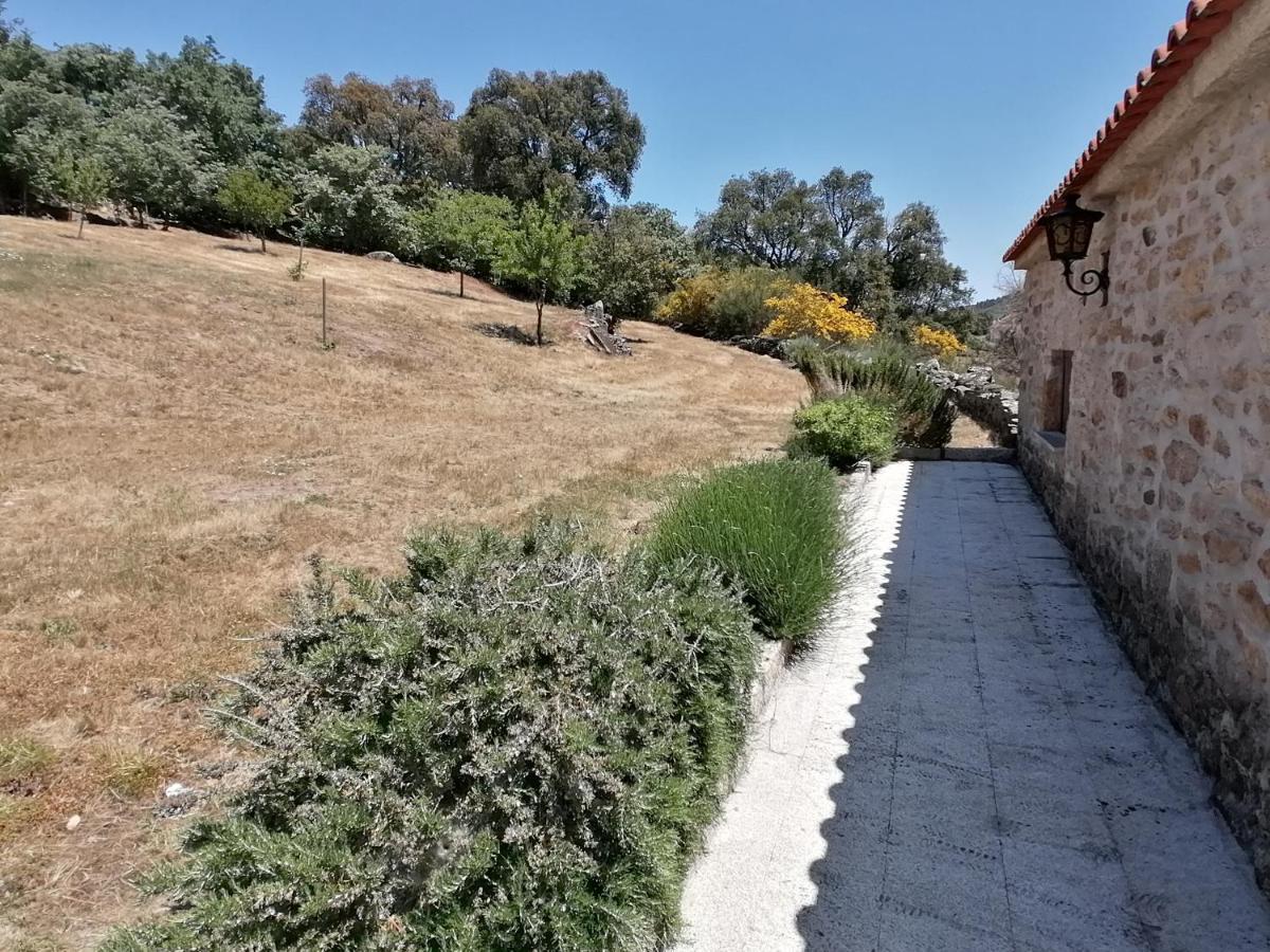 Rosas Da Granja - Casa De Campo Dış mekan fotoğraf