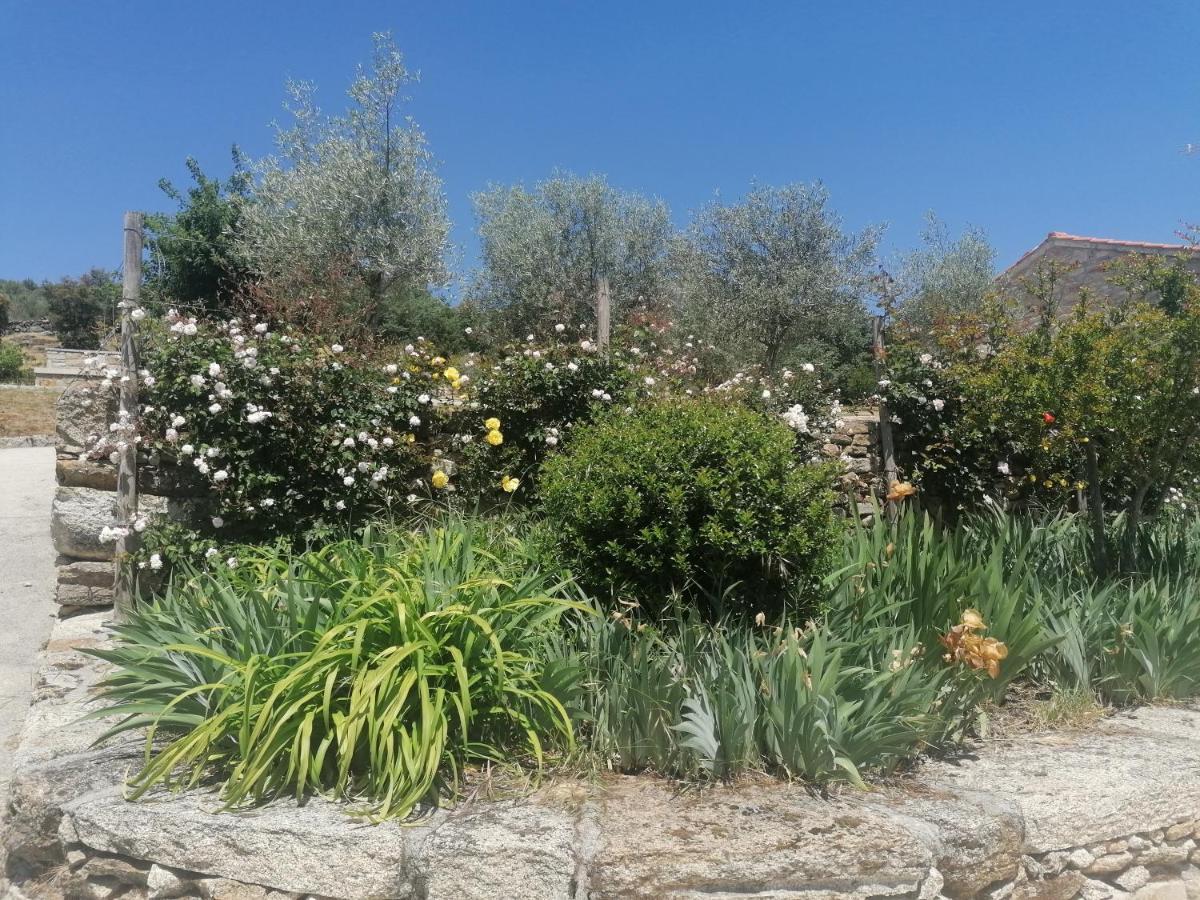 Rosas Da Granja - Casa De Campo Dış mekan fotoğraf
