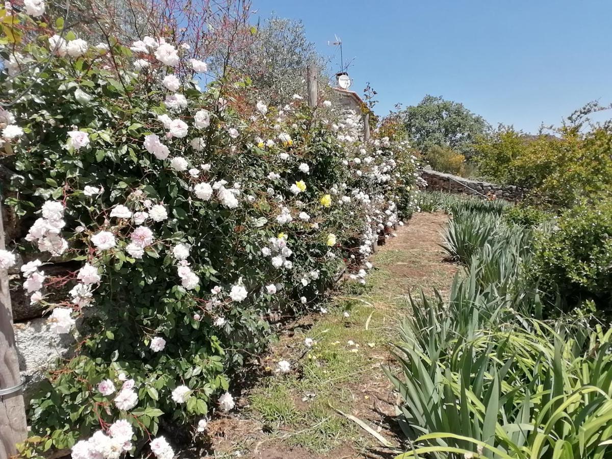 Rosas Da Granja - Casa De Campo Dış mekan fotoğraf