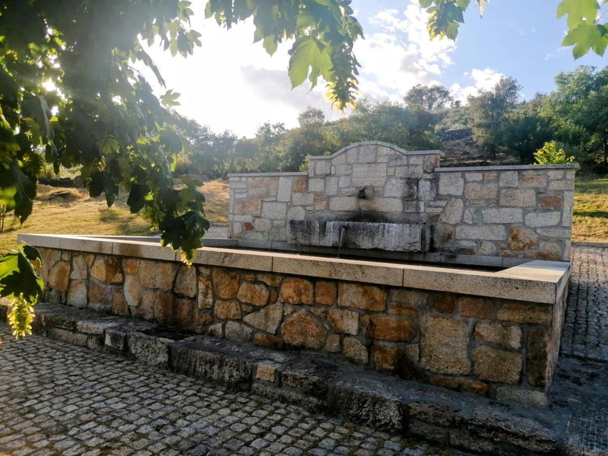 Rosas Da Granja - Casa De Campo Dış mekan fotoğraf